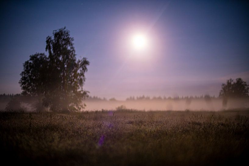 Veluwe bei Vollmond, nebliges Heideland bei Ermelo, Groevenbeek von John Ozguc