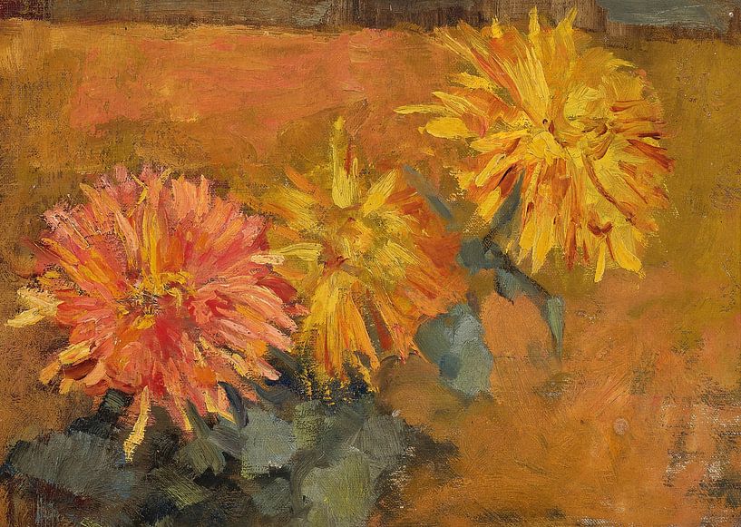 Three Chrysanthemums, Piet Mondrian - circa 1899 by Het Archief