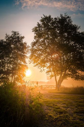 Lever de soleil dans le Buurzezand brumeux