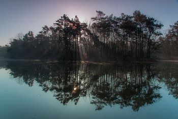 Spiegel van de natuur