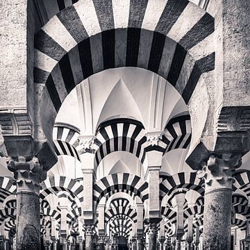 La Mezquita en noir et blanc sur Henk Meijer Photography