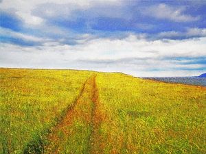 Karrenweg auf Viðey, Island