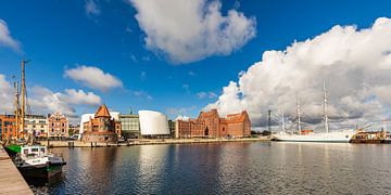Lotsenhaus, Ozeaneum und Gorch Fock 1 im Hafen von Stralsund von Werner Dieterich