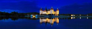 Schloss Moritzburg in der blauen Stunde