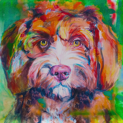 Labradoodle, ein gemaltes Porträt eines Hundes