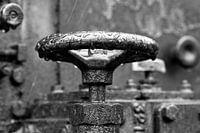 Raindrops