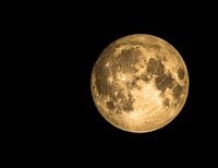 The moon