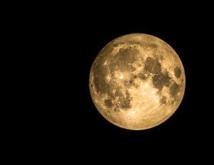 The moon