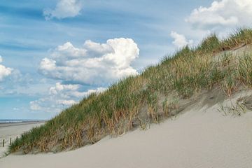 Dune landscape near Hoek van Holland by Ilya Korzelius