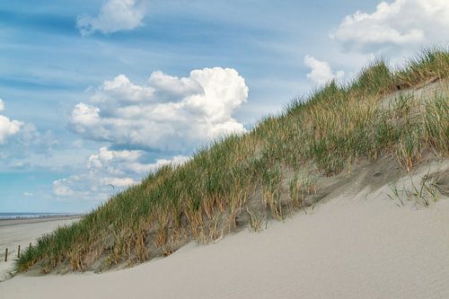 Duinlandschap bij Hoek van Holland