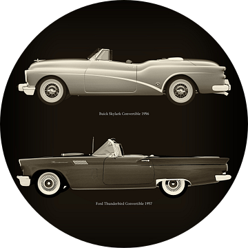Buick Skylark Cabriolet 1956 en Ford Thunderbird Cabriolet 1957 van Jan Keteleer