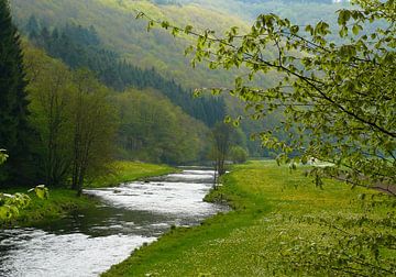 Die Sauer von Caroline Lichthart