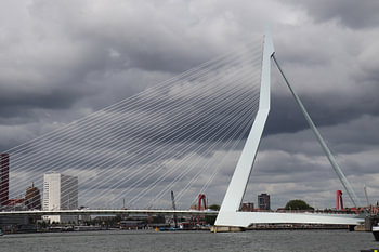 Rotterdam Erasmusbrug