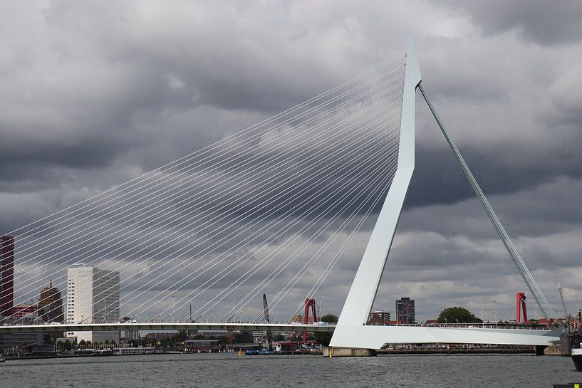Rotterdam Erasmusbrug van Dick Schouten