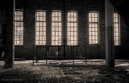 Urbex production hall windows