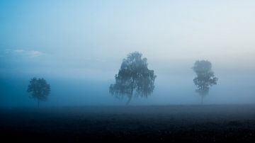 Misty morning van Jenco van Zalk