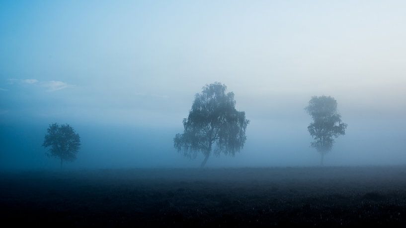 Misty morning by Jenco van Zalk