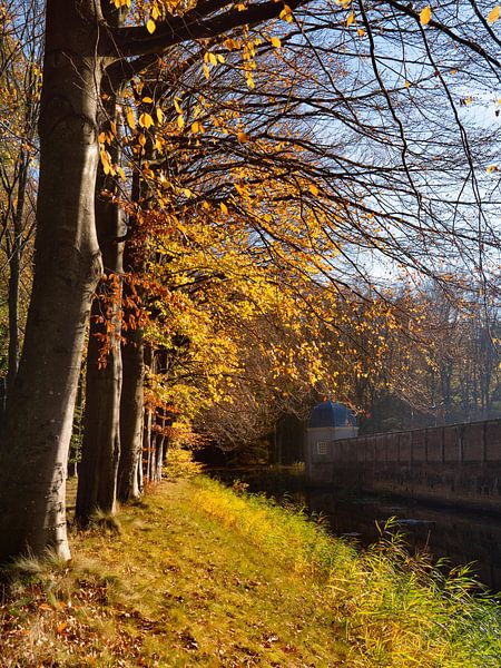 château automne 2 par snippefotografie
