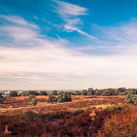 Panorama at the Mookerheide by Bas Stijntjes