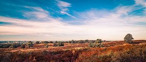 Panorama sur le Mookerheide sur Bas Stijntjes