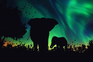La silhouette d'un éléphant avec sa progéniture