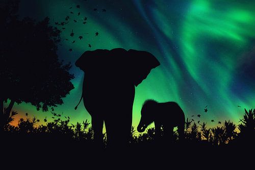 Een silhouet van een olifant met haar kroost