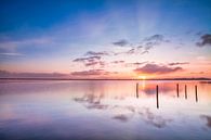 Ochtendgloren aan het Zuidlaardermeer van Ton Drijfhamer thumbnail