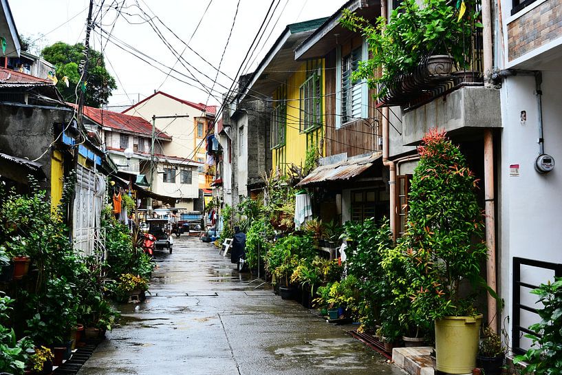 Daily life in a colourful alley by Frank Photos