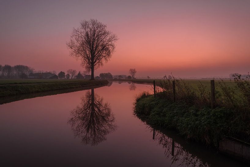 Tree reflection in ditch by Moetwil en van Dijk - Fotografie