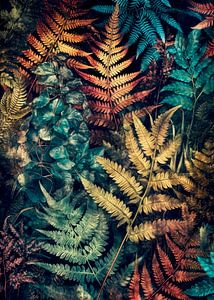 Farne Natur Kunst 4 #botanisch