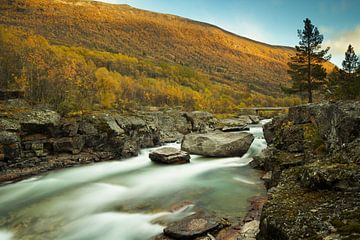 Magalaupet, Nationaal park Dovrefjell-Sunndalsfjella, Noorwegen van Gerhard Niezen Photography