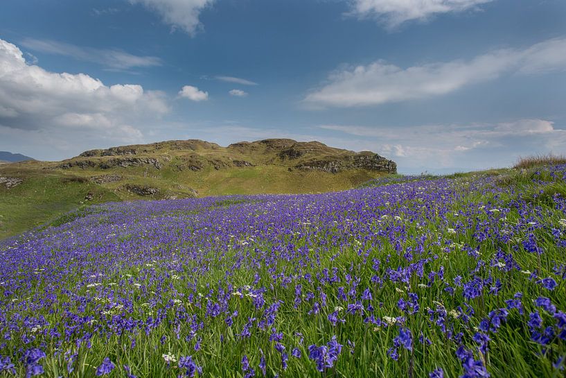 Bloemenzee von Richard Reuser