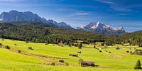 Bultrugweiden, daarachter de Zugspitze, 2962m, Wettersteingebergte van Walter G. Allgöwer thumbnail