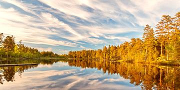 Stilte op een meer in Sweden van Martin Bergsma