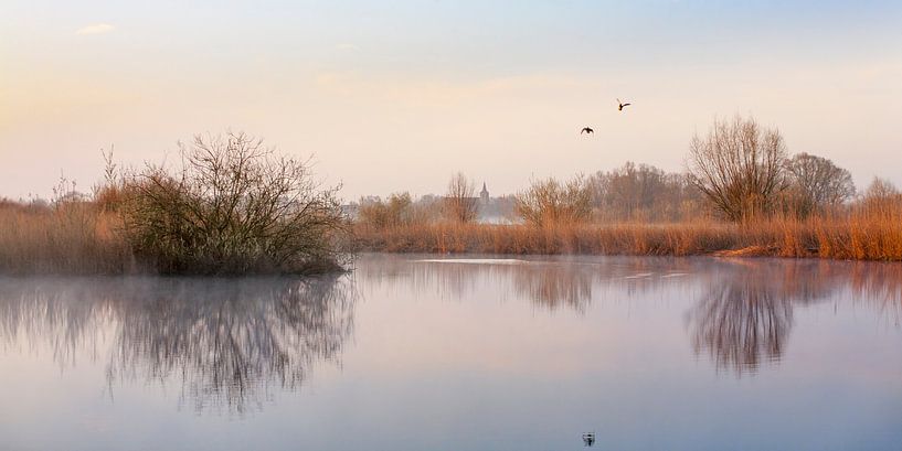 Verstild landschap met vliegende eenden by Evert Jan Kip
