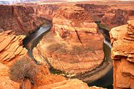 Horseshoe Bend, Arizona van Tineke Visscher thumbnail