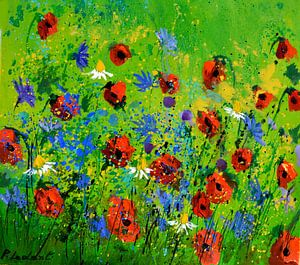 Blaue Cornflowers und Redpoppies