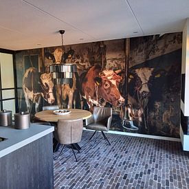Customer photo: Dutch cows in an old barn by Inge Jansen, as wallpaper