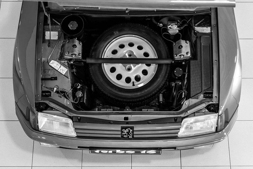 Peugeot 205 T16 von Sim Van Gyseghem