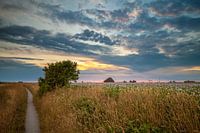 Shell path De Hoge Berg