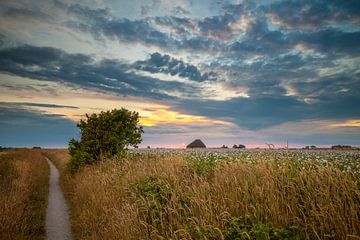 Chemin des coquillages de Hoge Berg