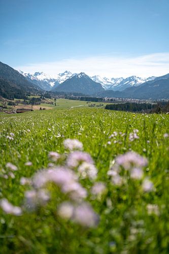 Lente met sneeuw in de Allgäuer bergen en uitzicht op Oberstdorf