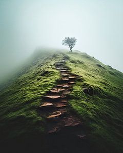Abenteuer in den Bergen