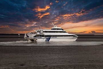 Koegelwieck von Harry de Vries