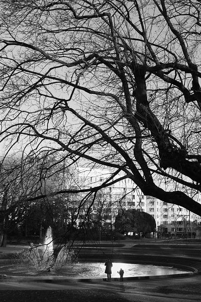 Winter in het Jubelpark van Brussel (zwart-wit) van Jochem Oomen