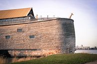 De ark van Noach in Dordrecht by Petra Brouwer thumbnail
