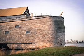 De ark van Noach in Dordrecht von Petra Brouwer