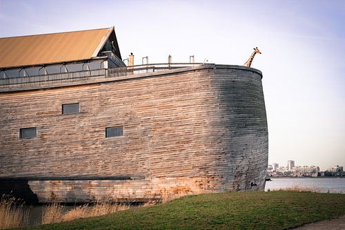 De ark van Noach in Dordrecht