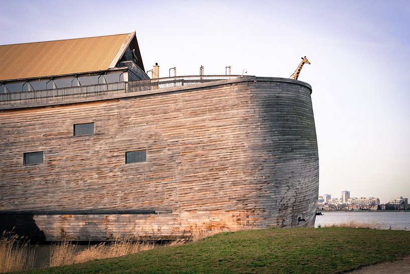 De ark van Noach in Dordrecht by Petra Brouwer