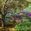 Japanse Tuin - Clingendael - Den Haag van Jeroen de Jongh Fotografie